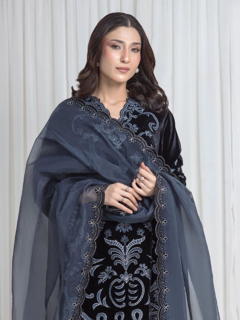 Embroidered Velvet Suit thumbnail