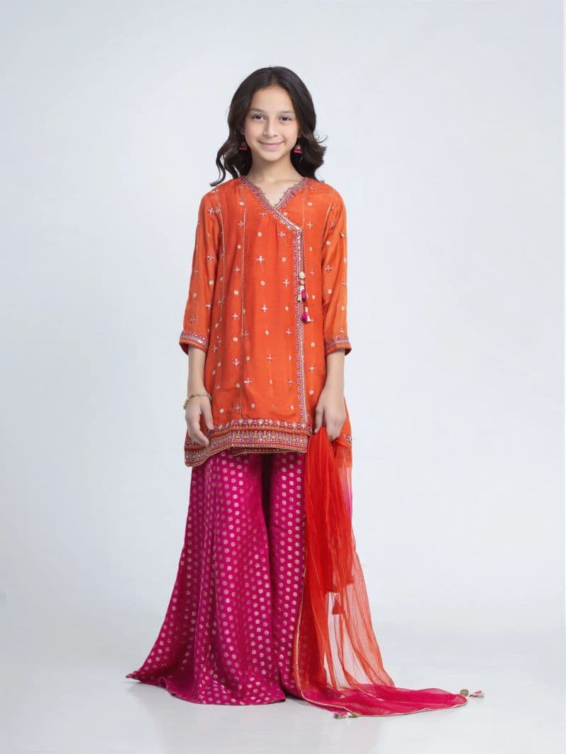 Embroidered Silk Suit - EGTPLED6-50108-3P