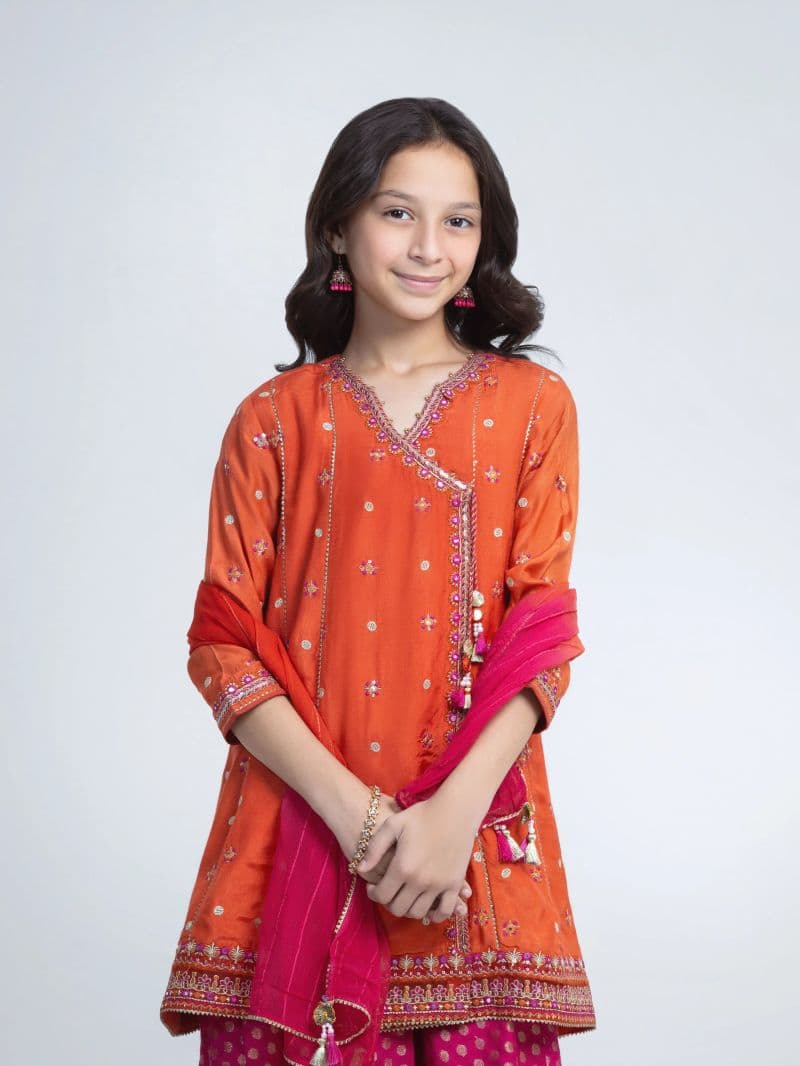Embroidered Silk Suit - EGTPLED6-50108-3P