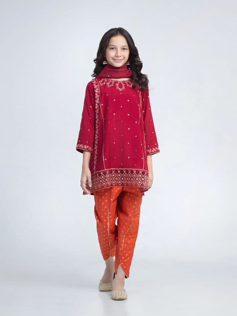 Embroidered Silk Suit - EGTPLED6-50096-3P thumbnail
