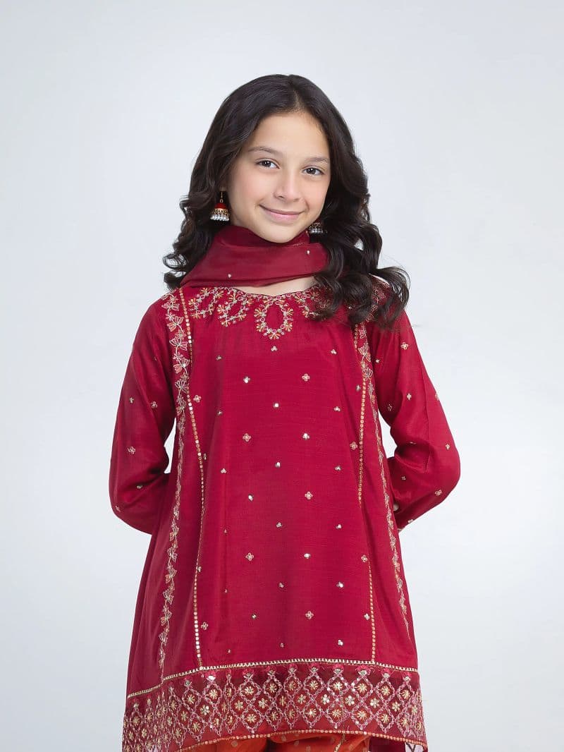Embroidered Silk Suit - EGTPLED6-50096-3P thumbnail