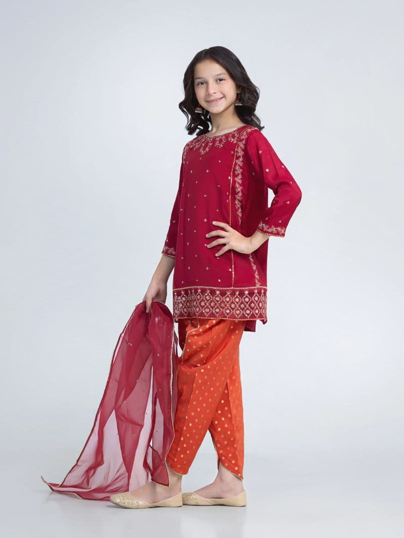 Embroidered Silk Suit - EGTPLED6-50096-3P thumbnail