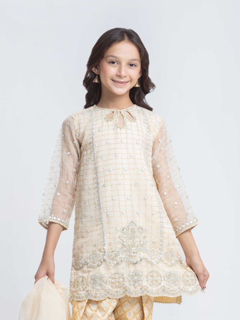 Embroidered Organza Suit - EGTPLED6-50119-3P thumbnail