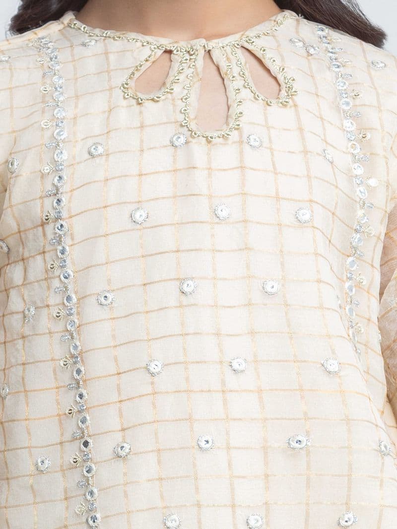 Embroidered Organza Suit - EGTPLED6-50119-3P thumbnail