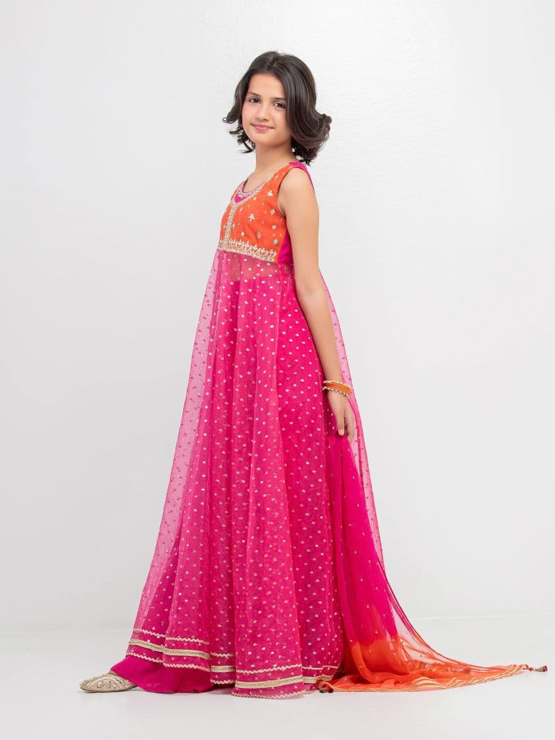Embroidered Organza Suit - EGTPLED5-50061-3P thumbnail
