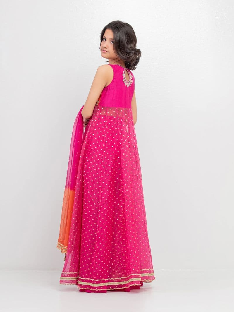 Embroidered Organza Suit - EGTPLED5-50061-3P thumbnail