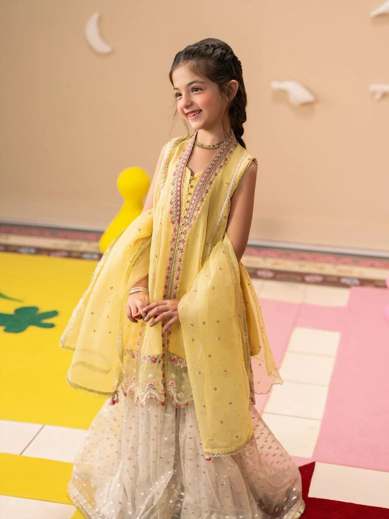 Embroidered Organza Gharara Suit - EGTPLED5-50058-3P
