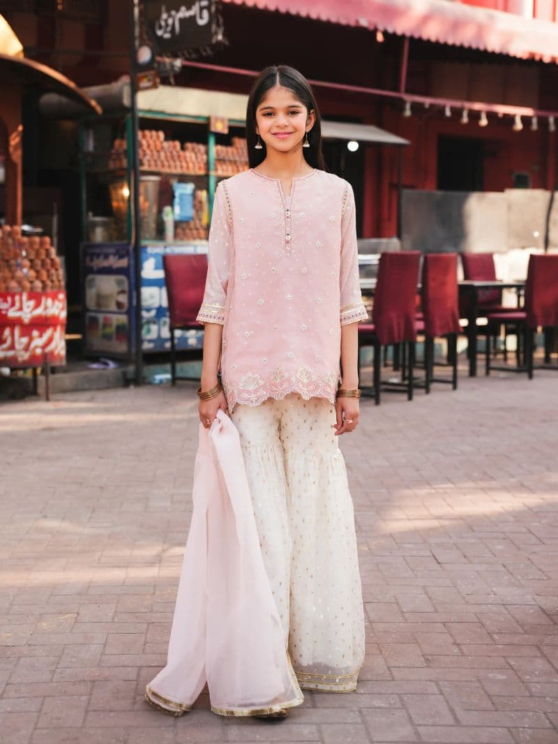 Embroidered Organza Gharara Suit - EGTPLED5-50097-3P