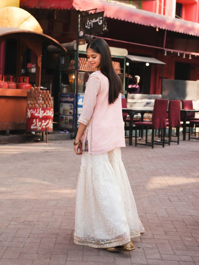 Embroidered Organza Gharara Suit - EGTPLED5-50097-3P