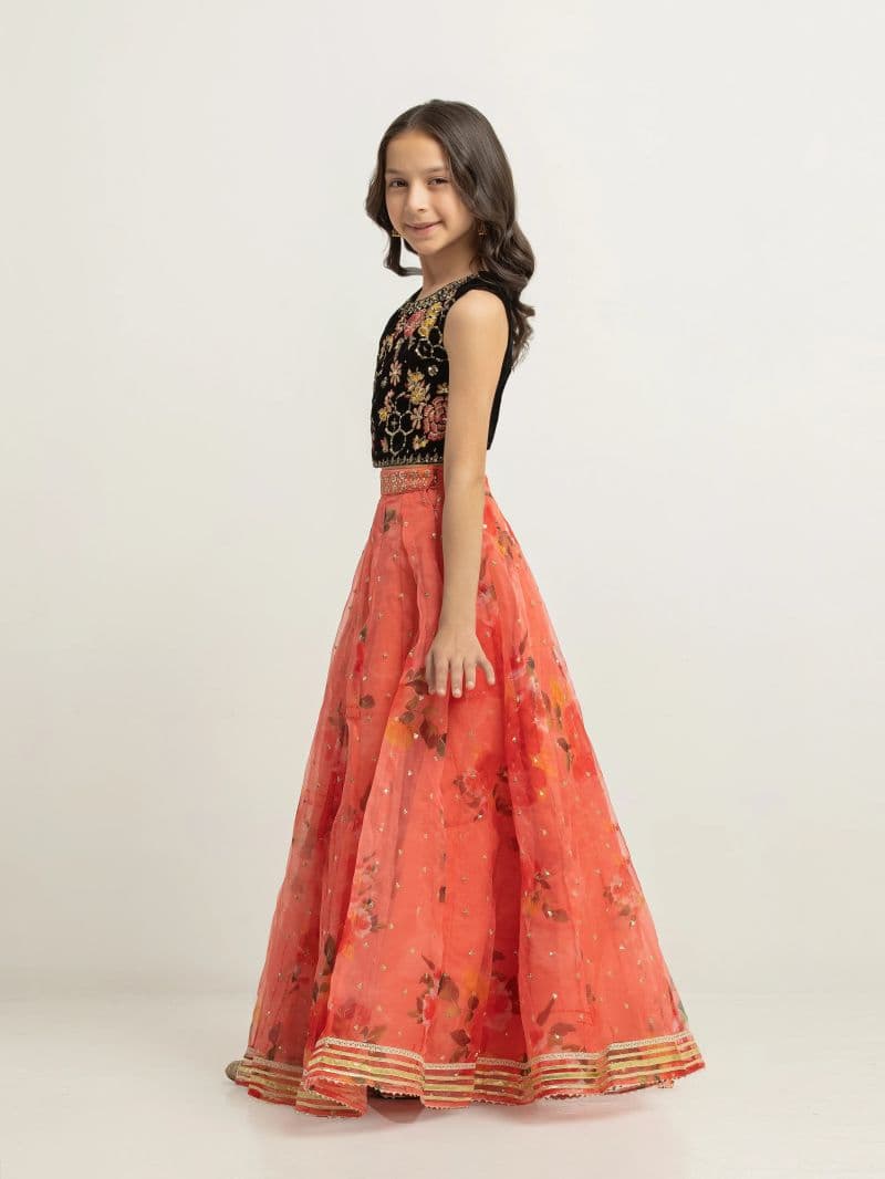 Embroidered Organza Lehenga Suit - EGTPLEP5-50118CL thumbnail