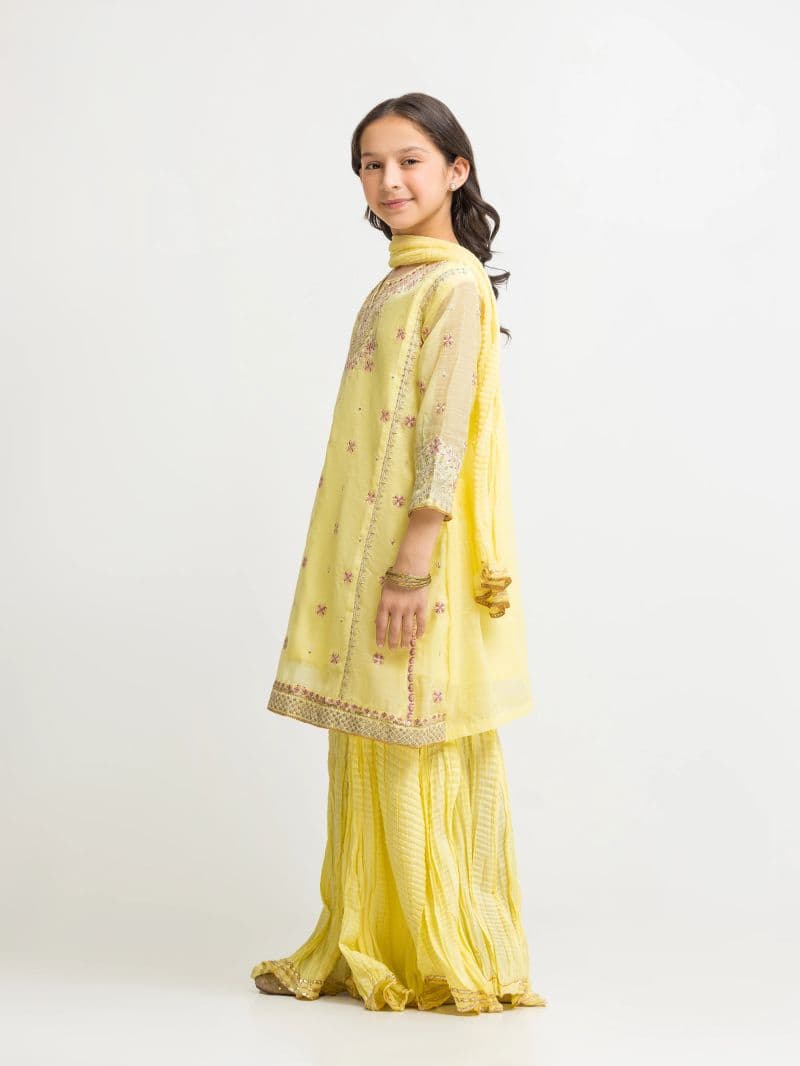 Embroidered Chanderi Gharara Suit - EGTPLED5-50089-3P thumbnail