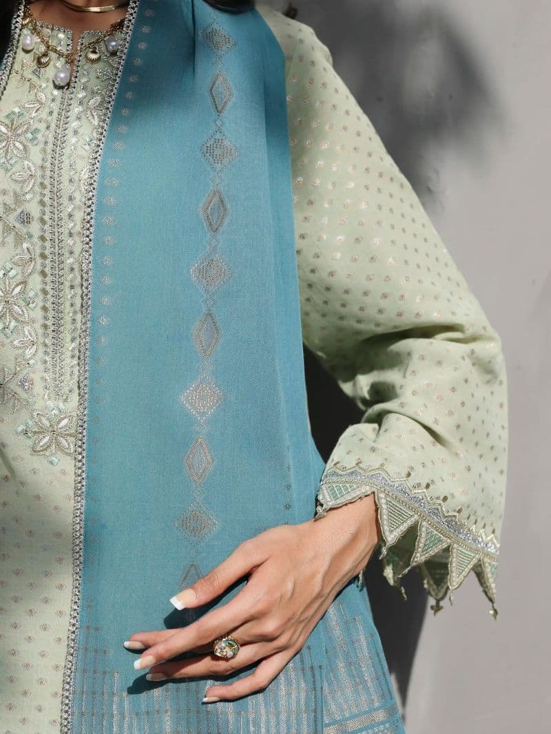 Embroidered Jacquard Suit - EWU6V3-33462-3P