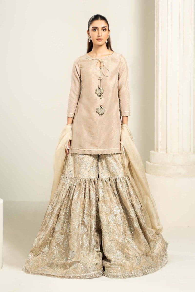 Embroidered Zari Net Fabric (2Pcs) | LF-726 thumbnail