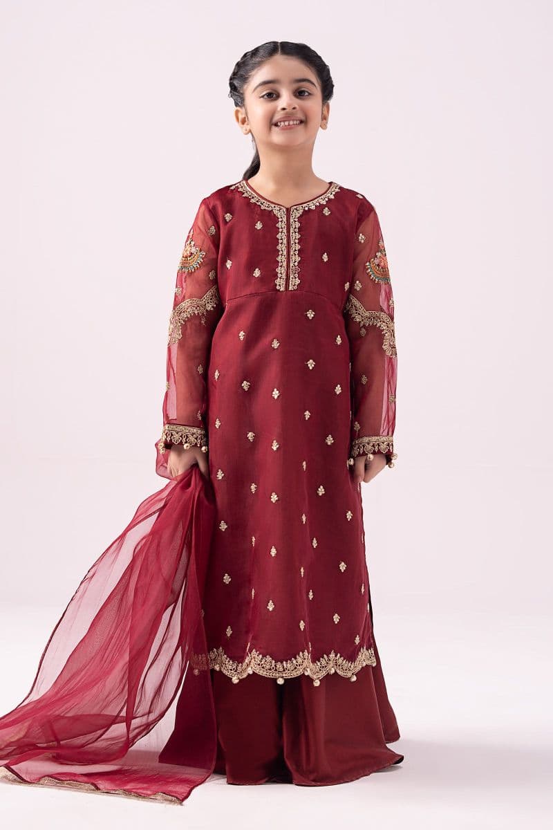 3 Piece Embroidered Organza Suit thumbnail