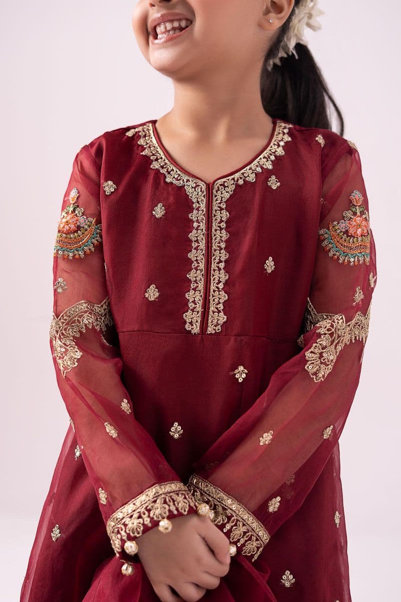 3 Piece Embroidered Organza Suit thumbnail