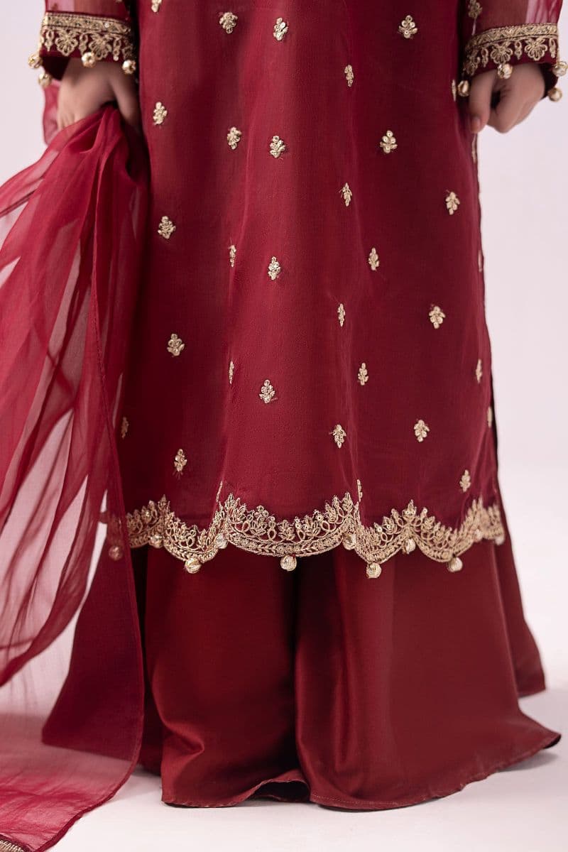 3 Piece Embroidered Organza Suit thumbnail