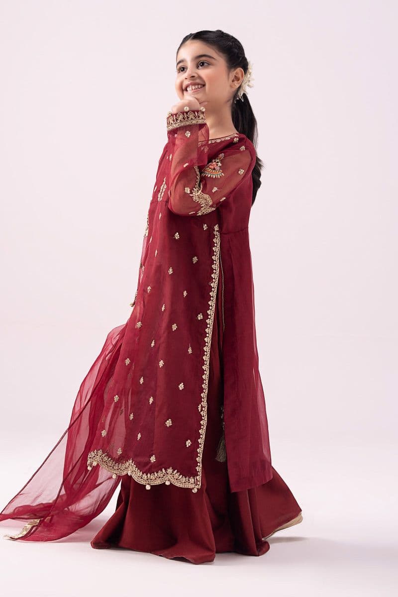 3 Piece Embroidered Organza Suit thumbnail