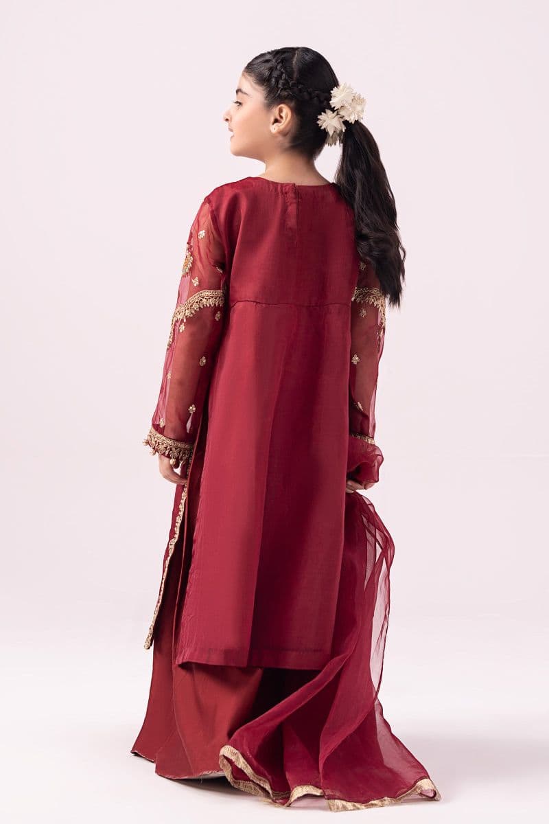 3 Piece Embroidered Organza Suit thumbnail