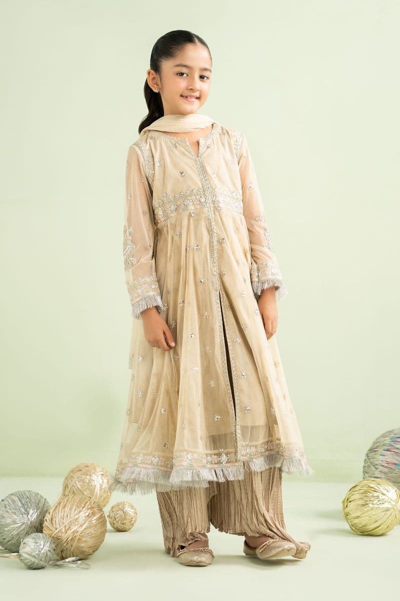 2 Piece Embroidered Net Suit thumbnail