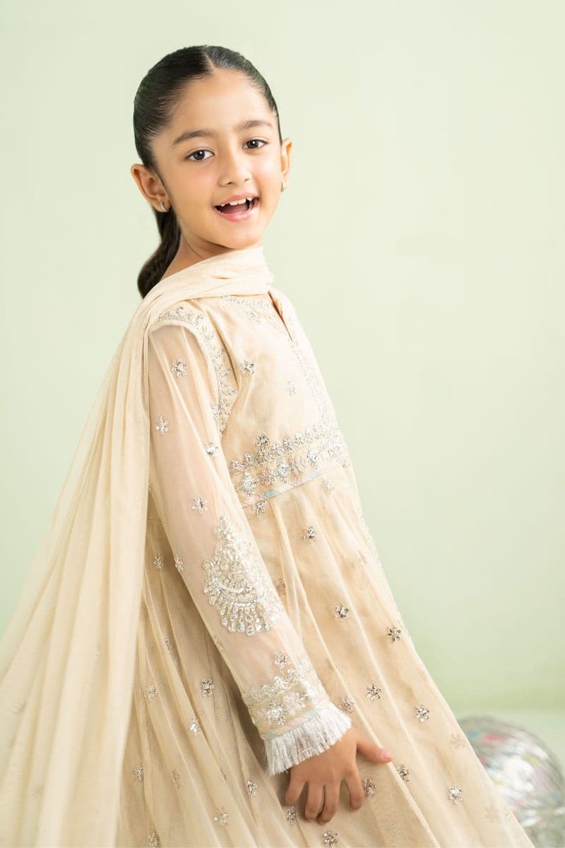 2 Piece Embroidered Net Suit thumbnail