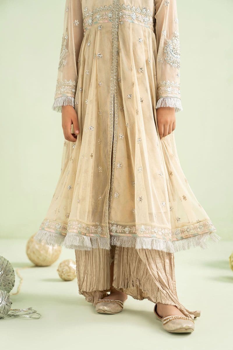 2 Piece Embroidered Net Suit thumbnail