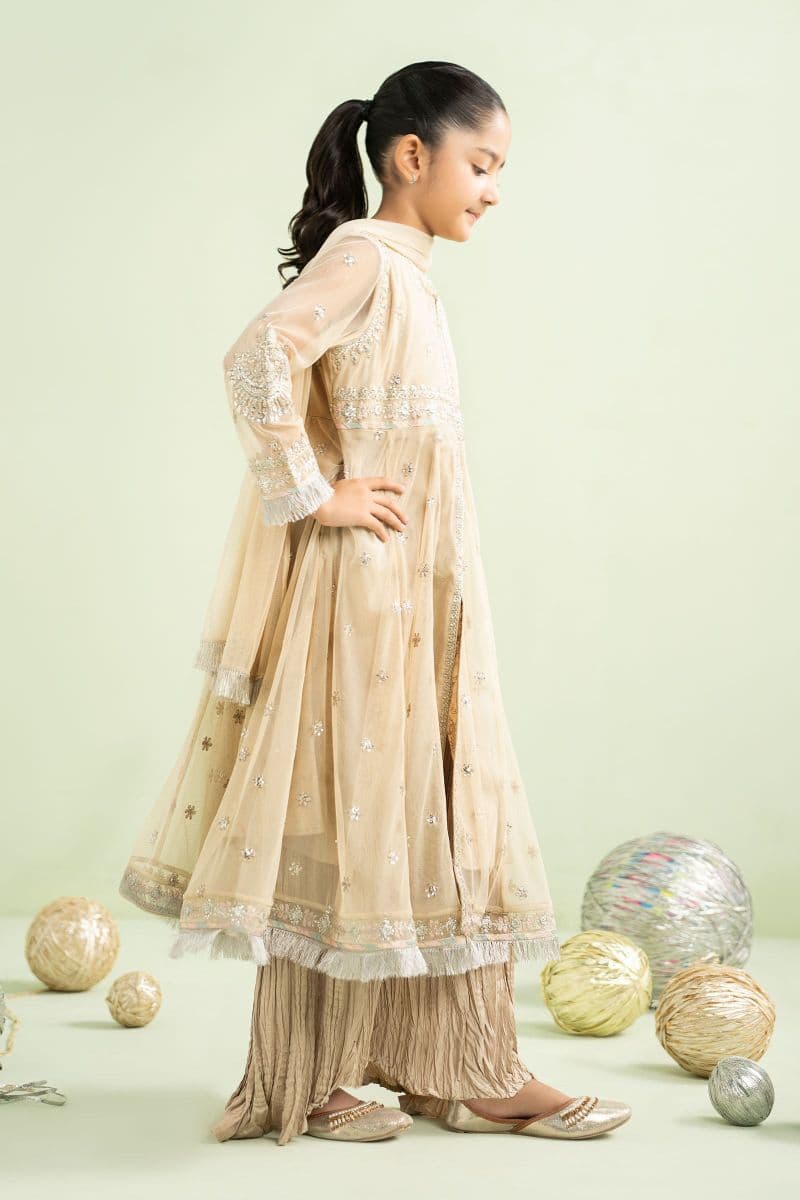 2 Piece Embroidered Net Suit thumbnail