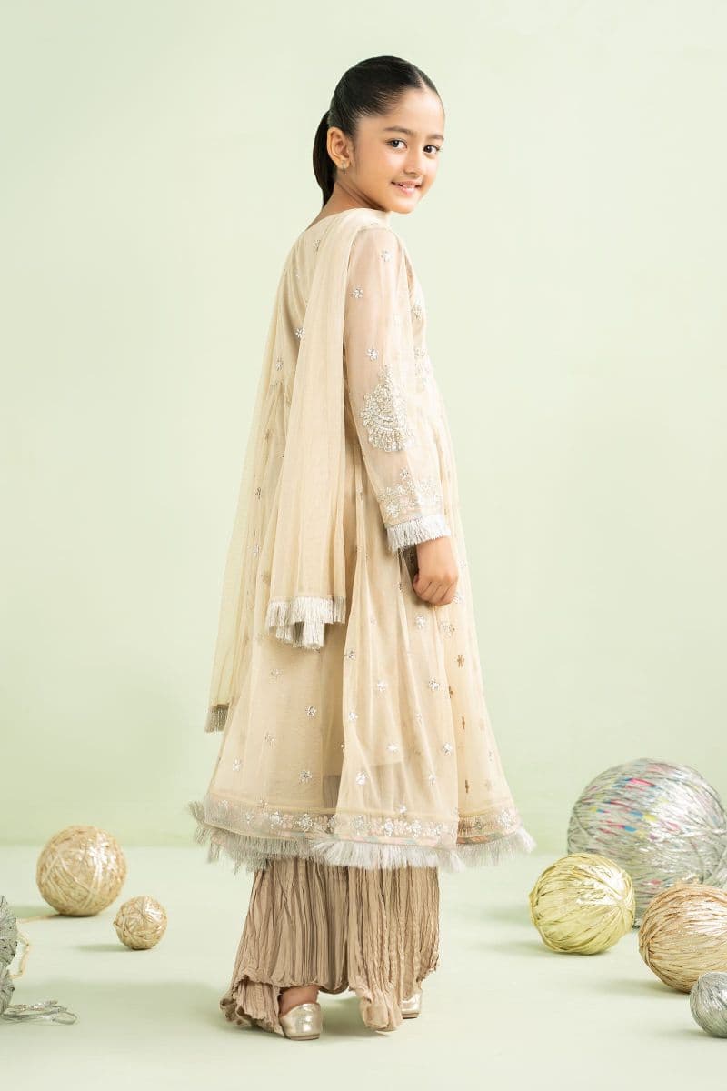 2 Piece Embroidered Net Suit thumbnail