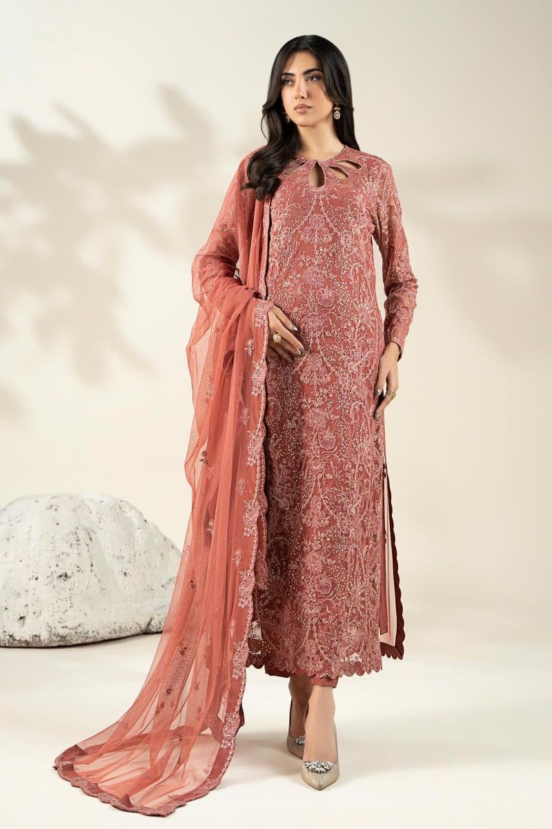 Embroidered Net Fabric (2Pcs) | LF-904 thumbnail