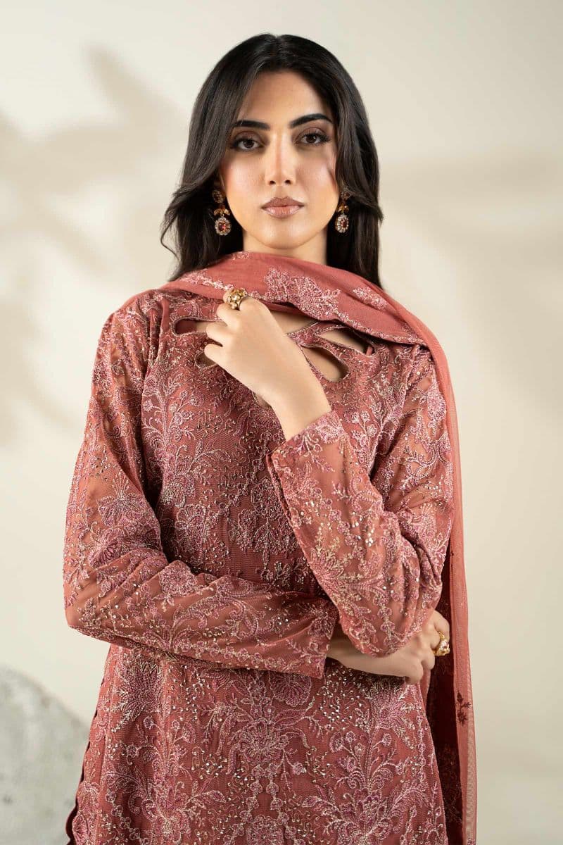 Embroidered Net Fabric (2Pcs) | LF-904 thumbnail