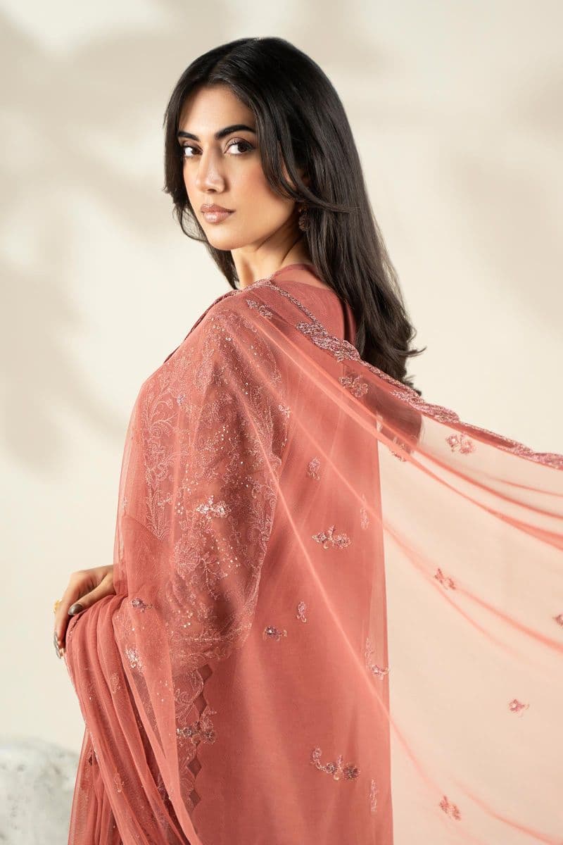 Embroidered Net Fabric (2Pcs) | LF-904 thumbnail
