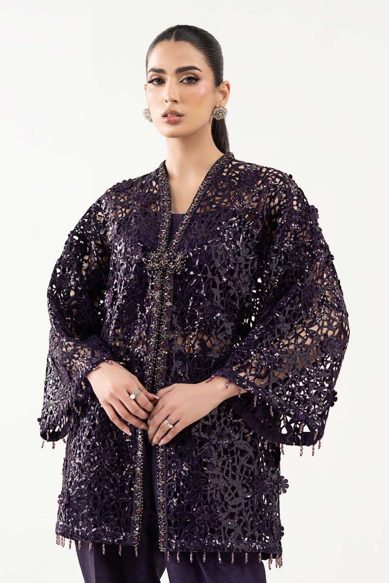 Embroidered Lace Fabric (1Pc) thumbnail
