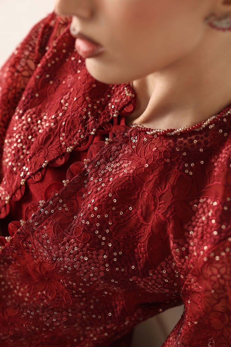 Embroidered Organza Fabric (2Pcs) thumbnail