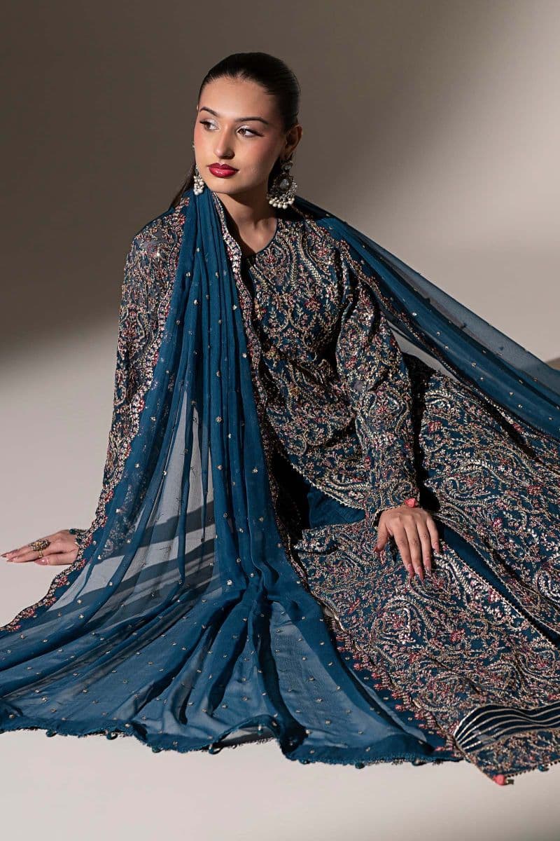 Embroidered Chiffon Fabric (3Pcs)