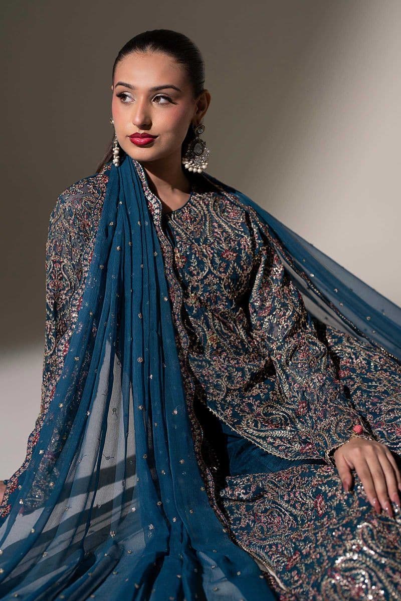 Embroidered Chiffon Fabric (3Pcs)