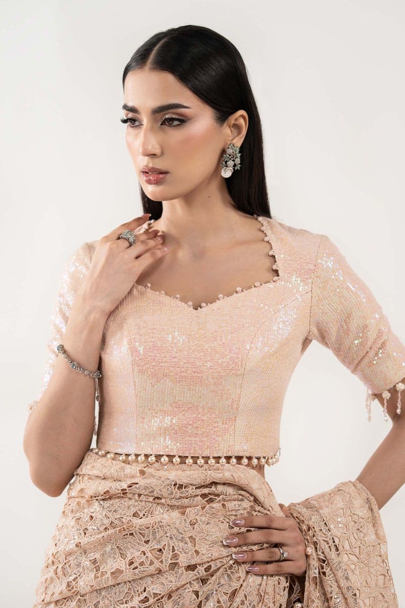 Embroidered Georgette Fabric (1Pc) thumbnail