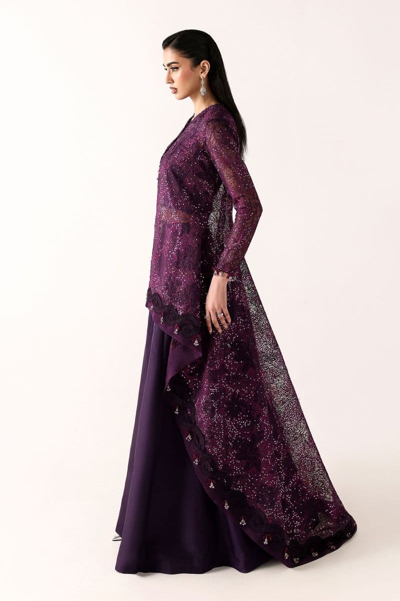 Embroidered Organza Fabric (2Pcs)
