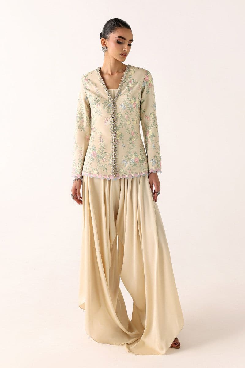 Embroidered Chiffon Fabric (2Pcs) thumbnail
