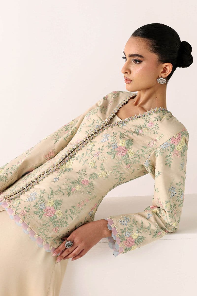 Embroidered Chiffon Fabric (2Pcs) thumbnail