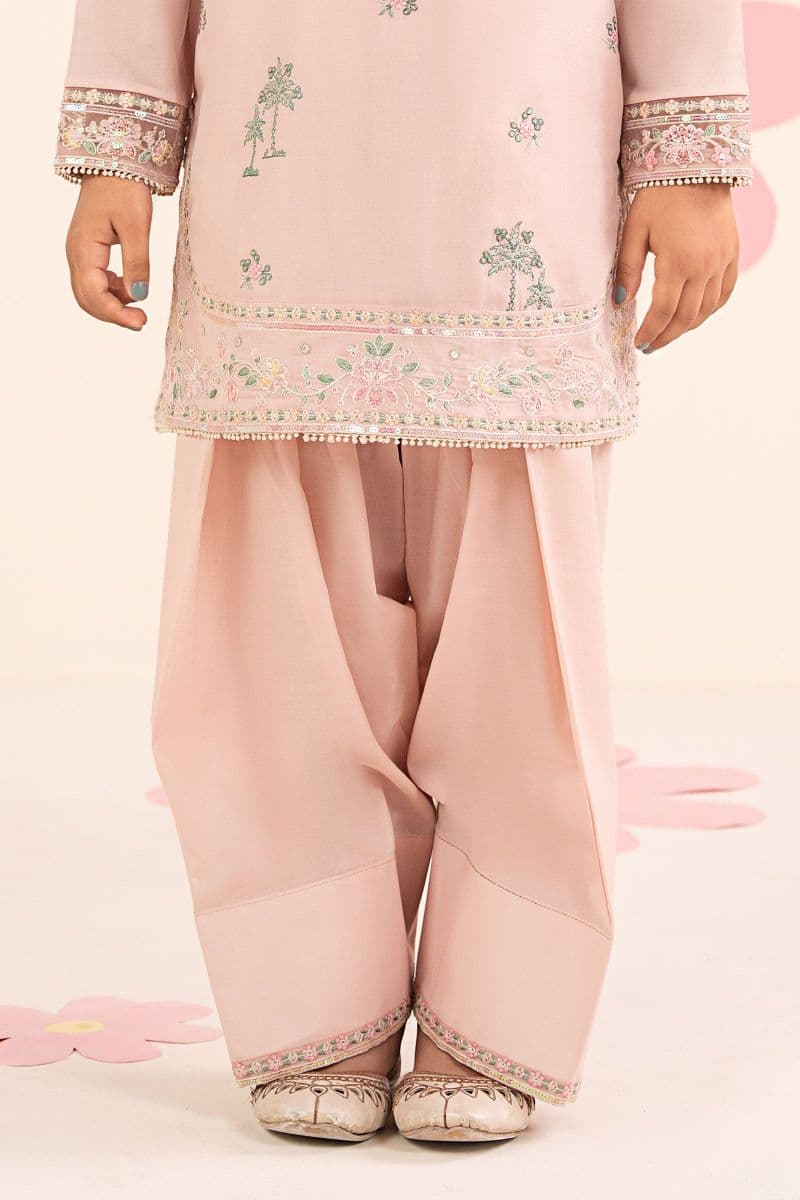 3 Piece Embroidered Lawn Suit