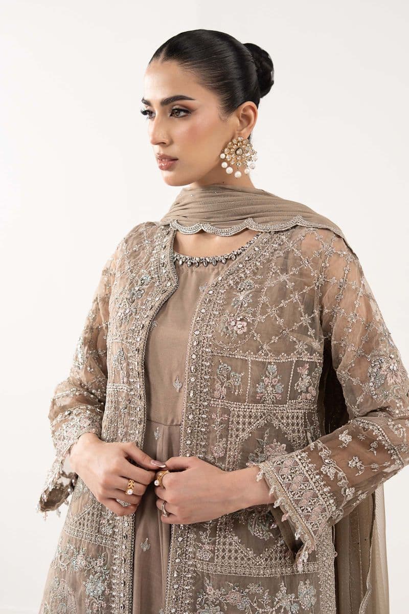 3 Piece Embroidered Organza Suit thumbnail