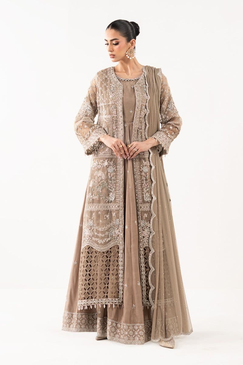 3 Piece Embroidered Organza Suit thumbnail