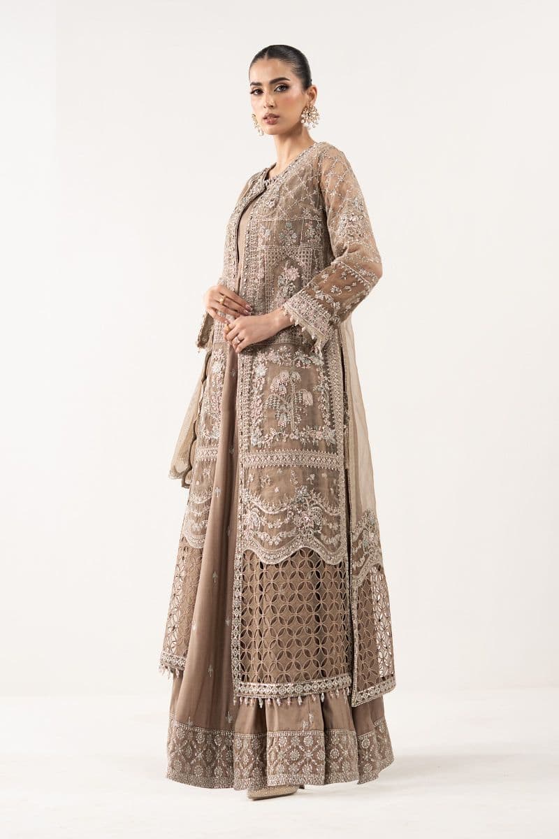 3 Piece Embroidered Organza Suit thumbnail