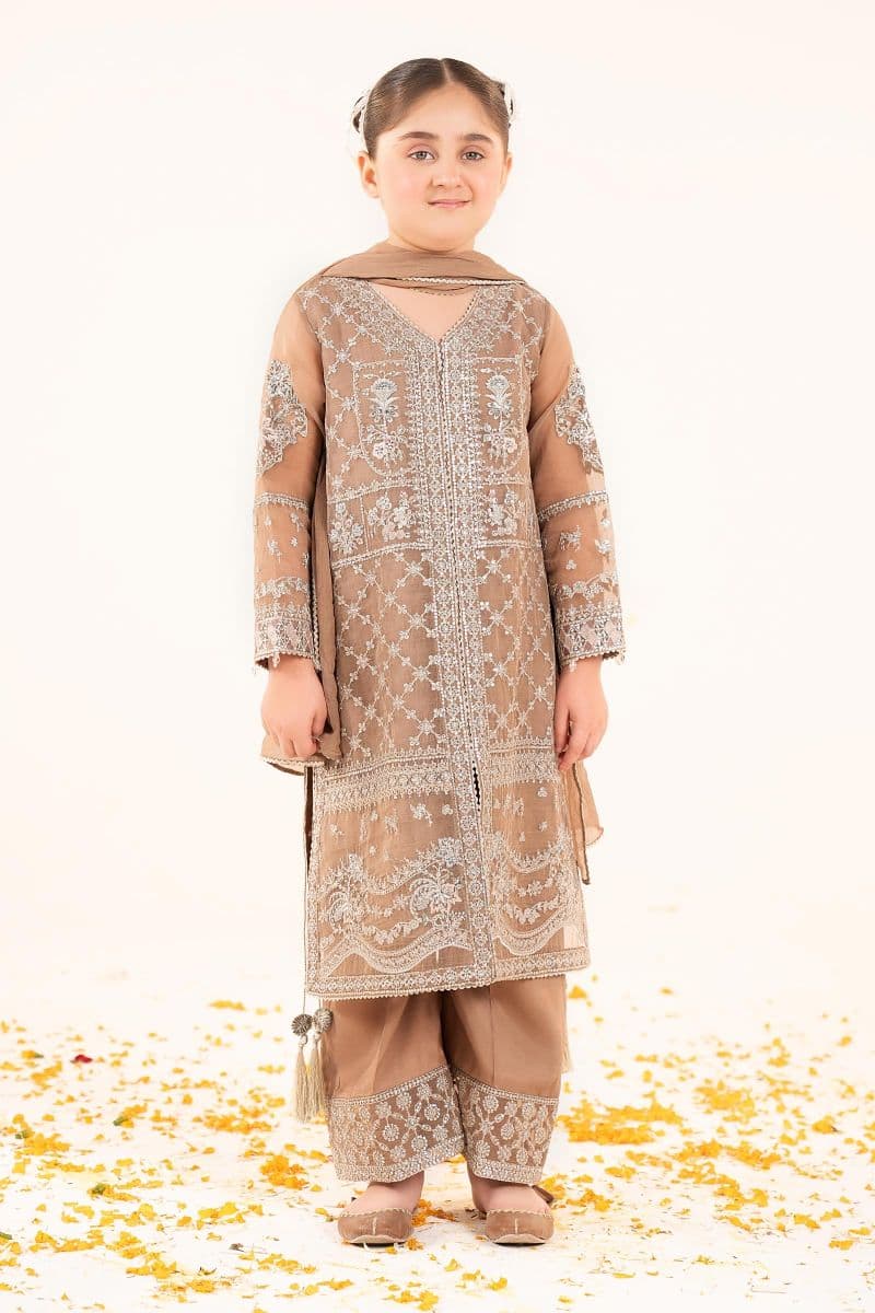 3 Piece Embroidered Organza Suit thumbnail