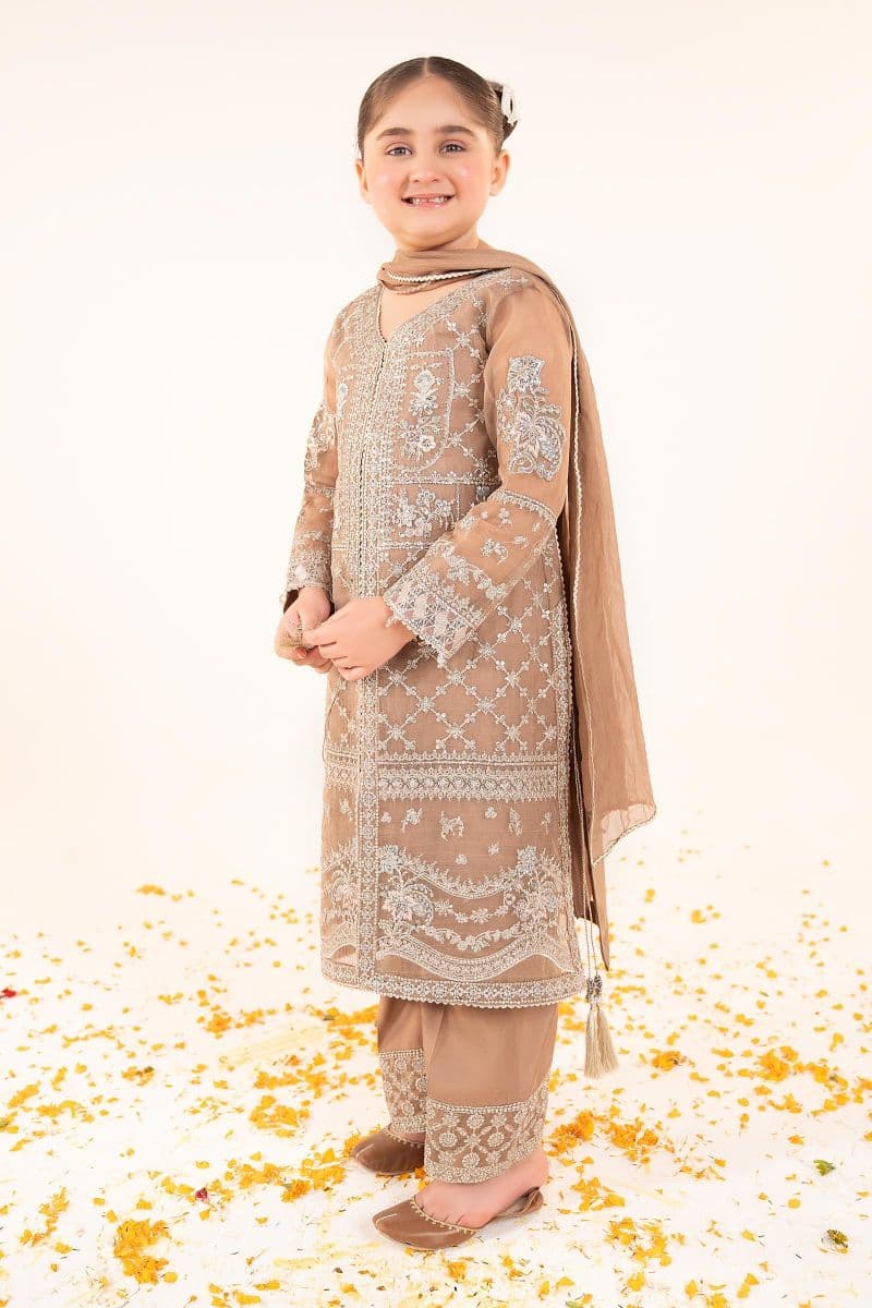 3 Piece Embroidered Organza Suit thumbnail
