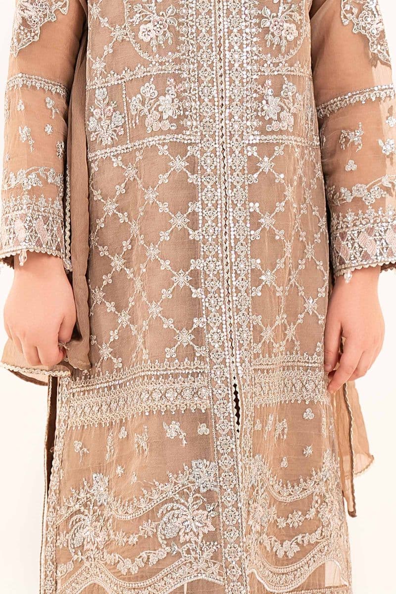 3 Piece Embroidered Organza Suit thumbnail