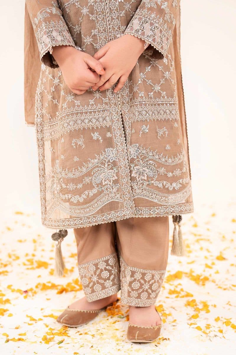 3 Piece Embroidered Organza Suit thumbnail