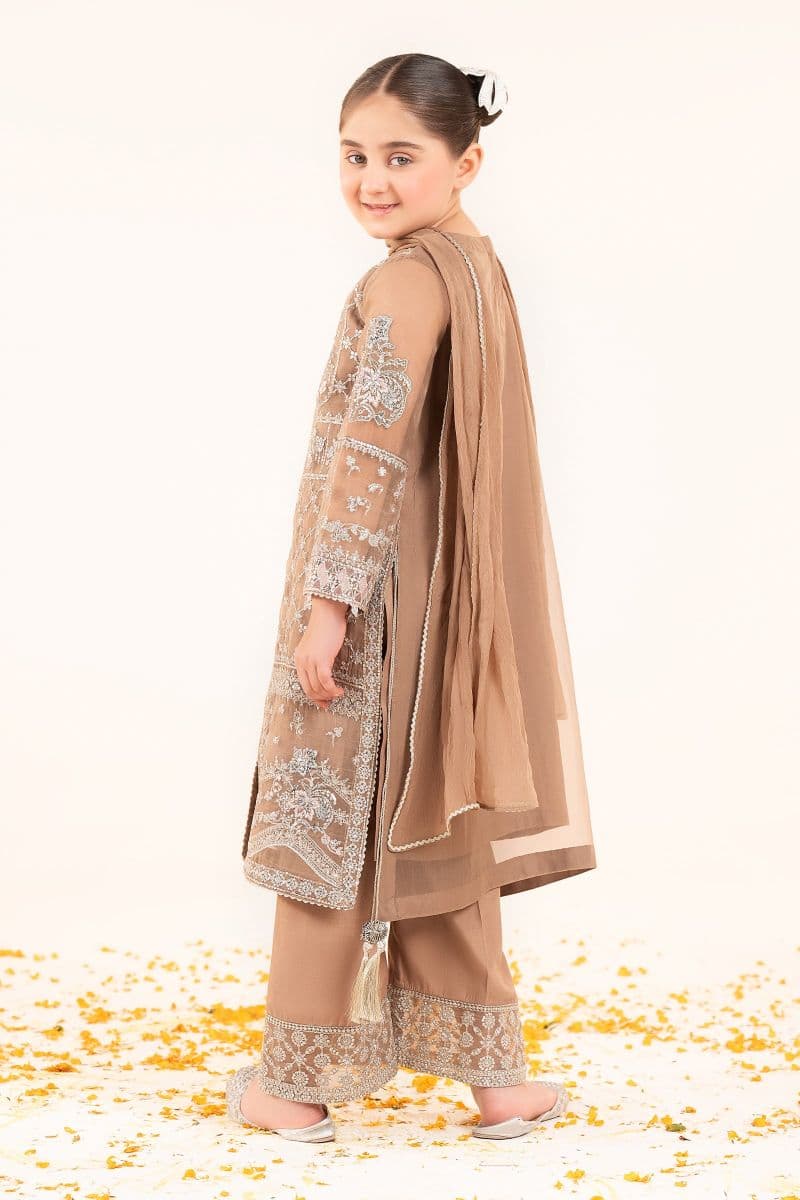3 Piece Embroidered Organza Suit thumbnail