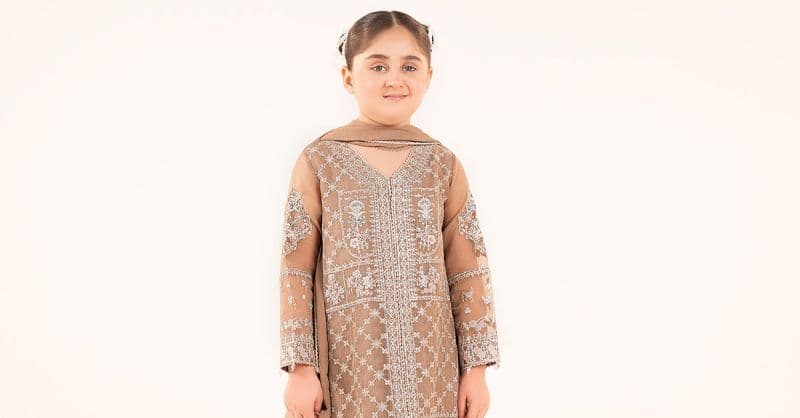 3 Piece Embroidered Organza Suit thumbnail