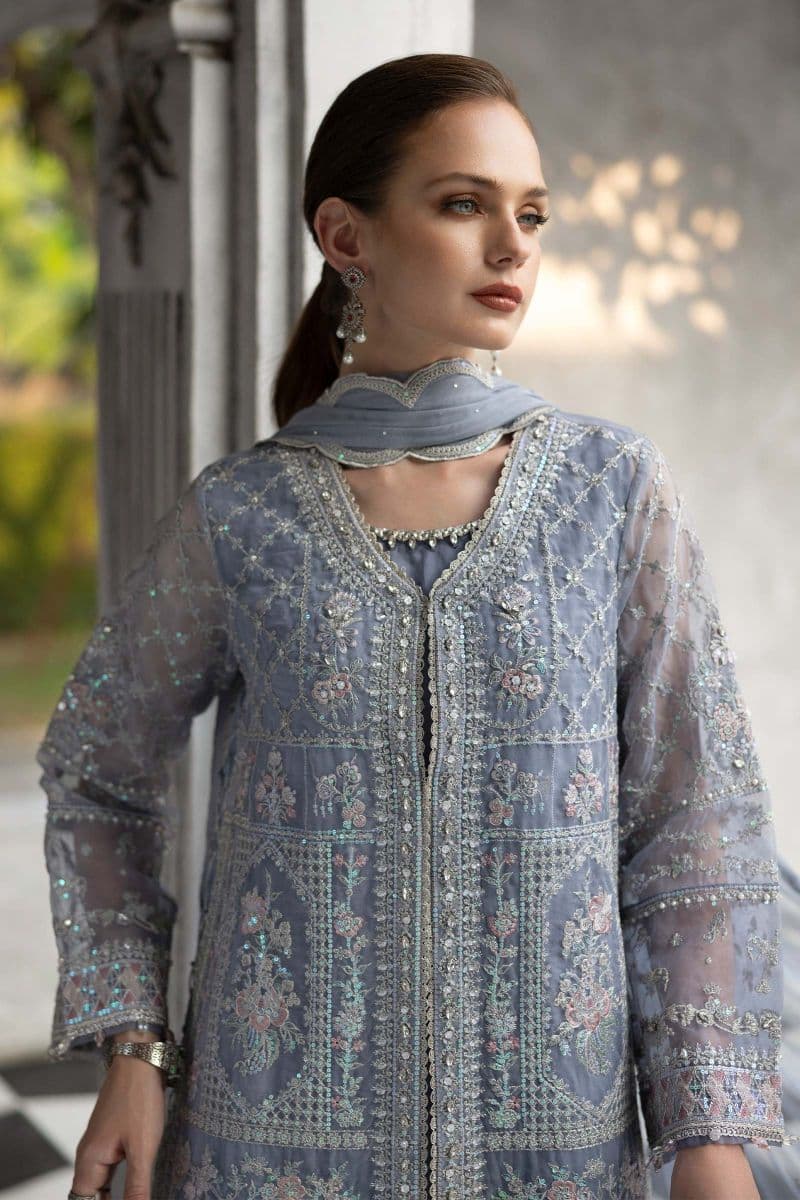 3 Piece Embroidered Organza Suit thumbnail