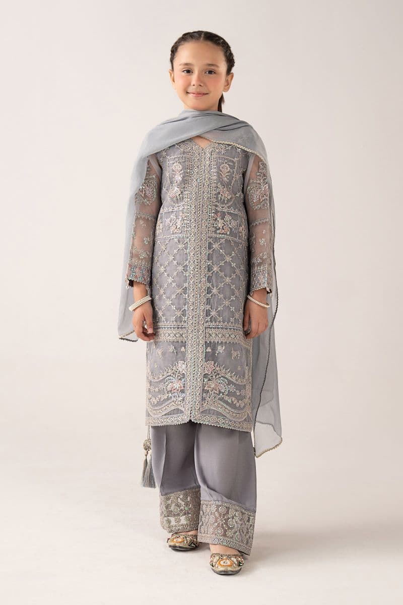 3 Piece Embroidered Organza Suit thumbnail